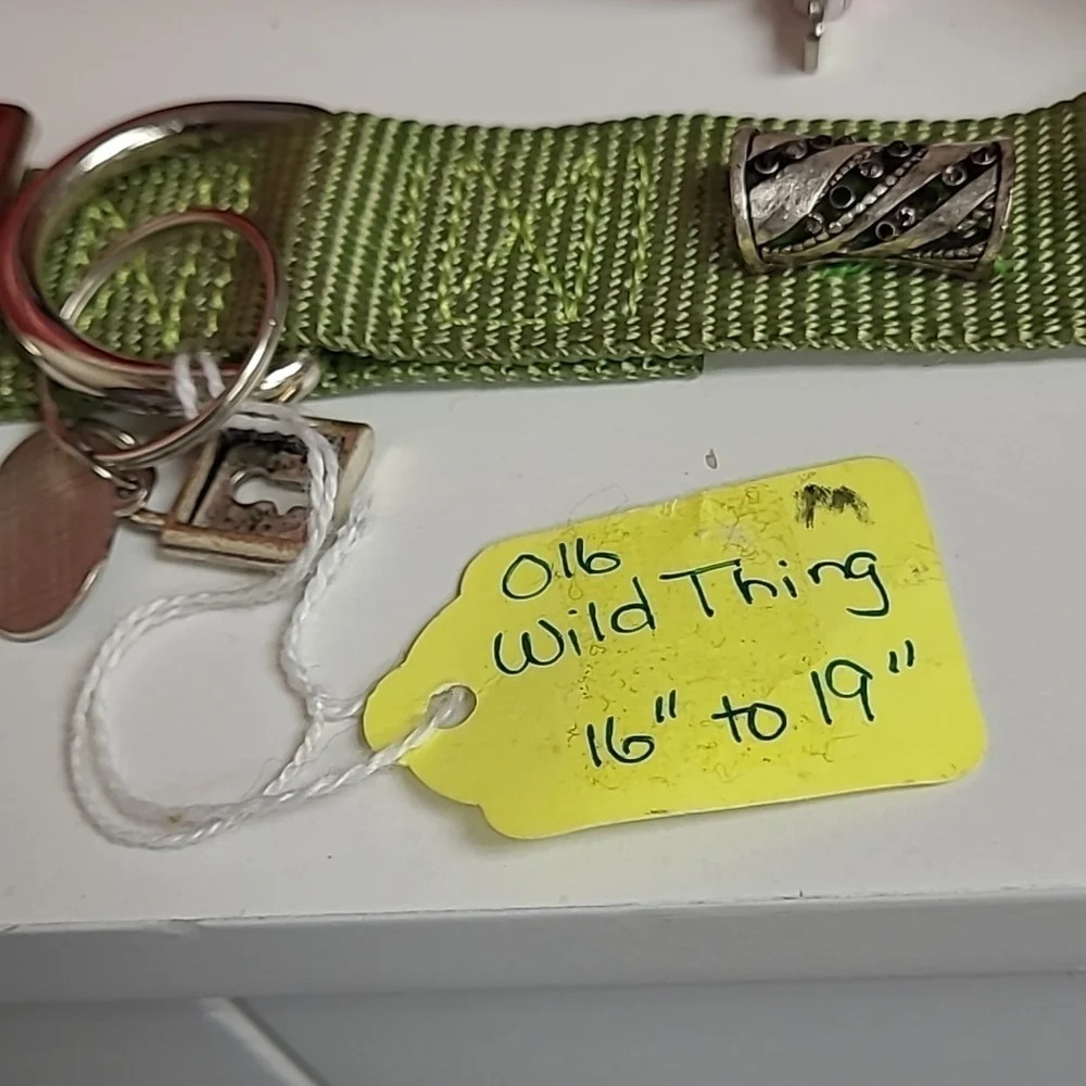 CUSTOMIZED Dog Collar Wild Thing Cub Green with Bling and Black Spikes